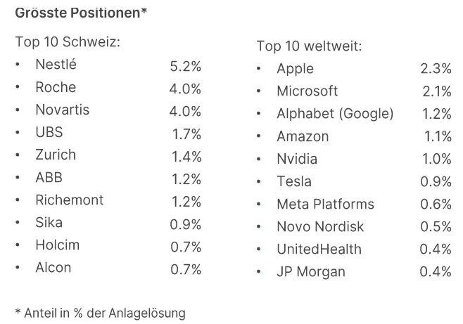 Anlagestrategie Risikofreudig Positionen